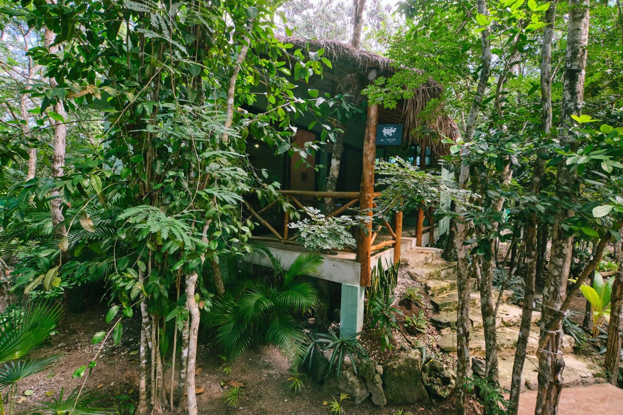 Pousada Zamna - Jungle *