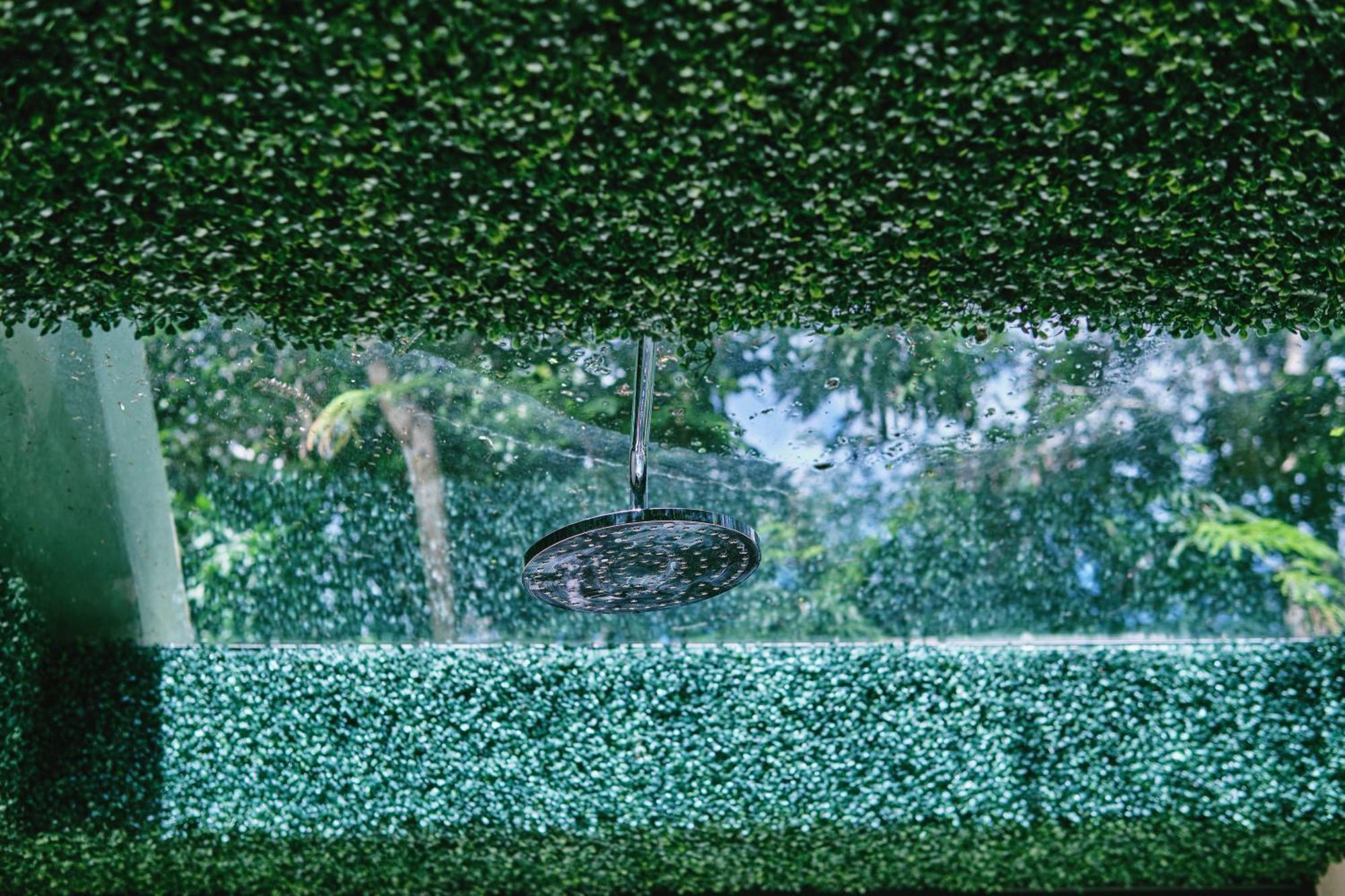 Zamna - Jungle *