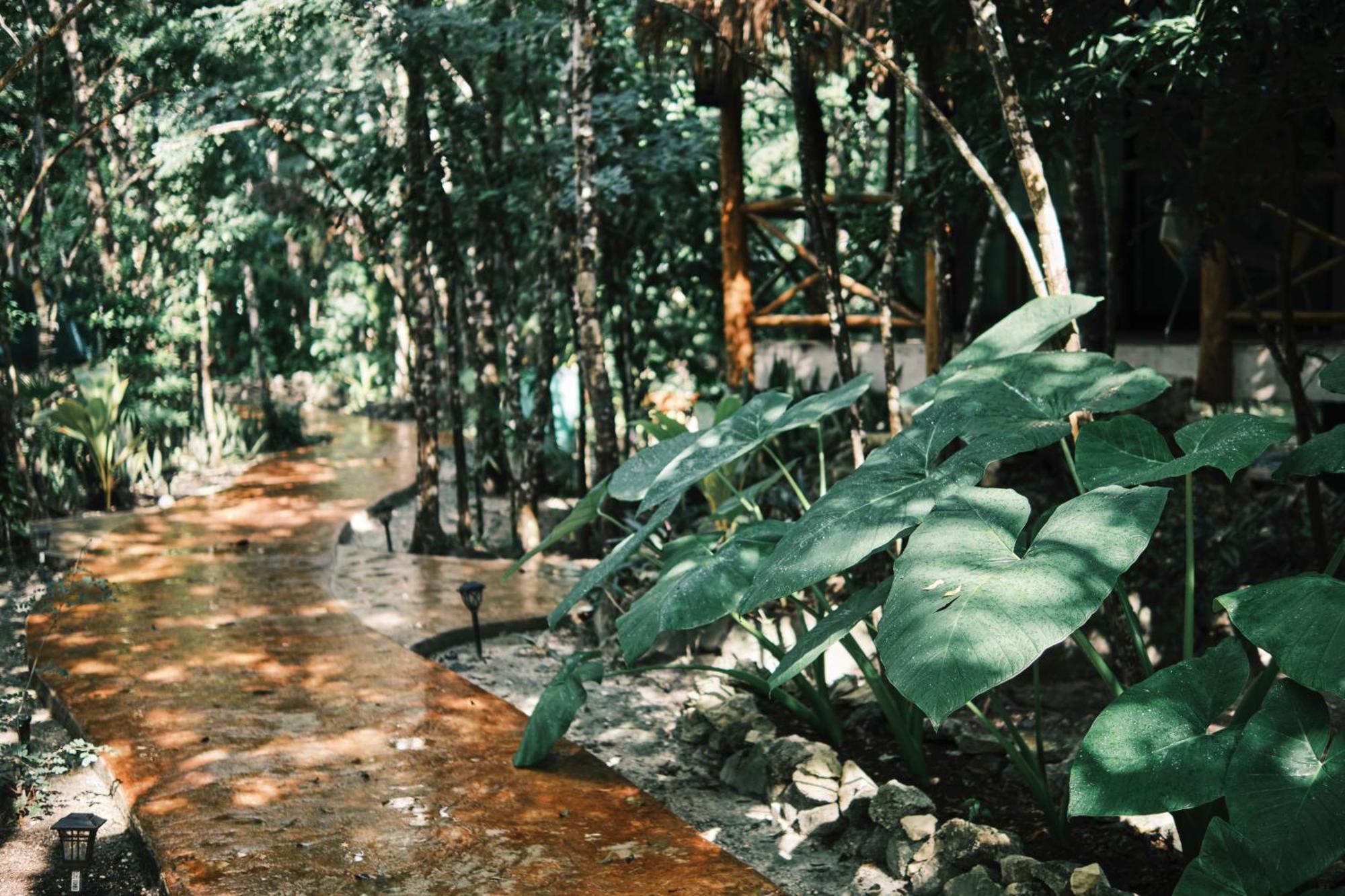Zamna - Jungle *
