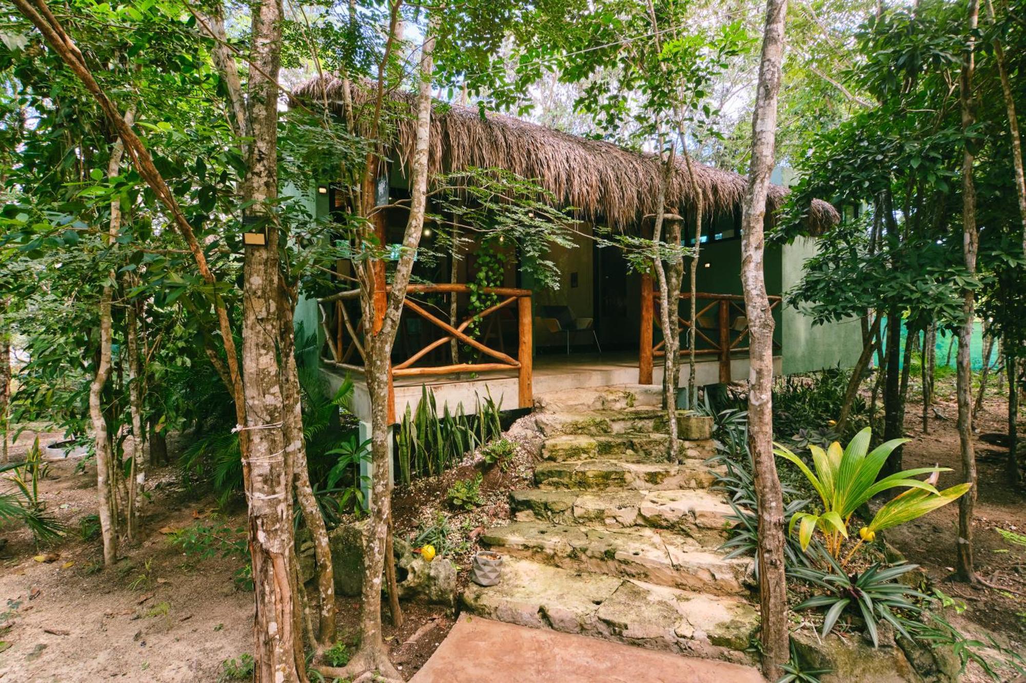 Villa Zamna - Jungle