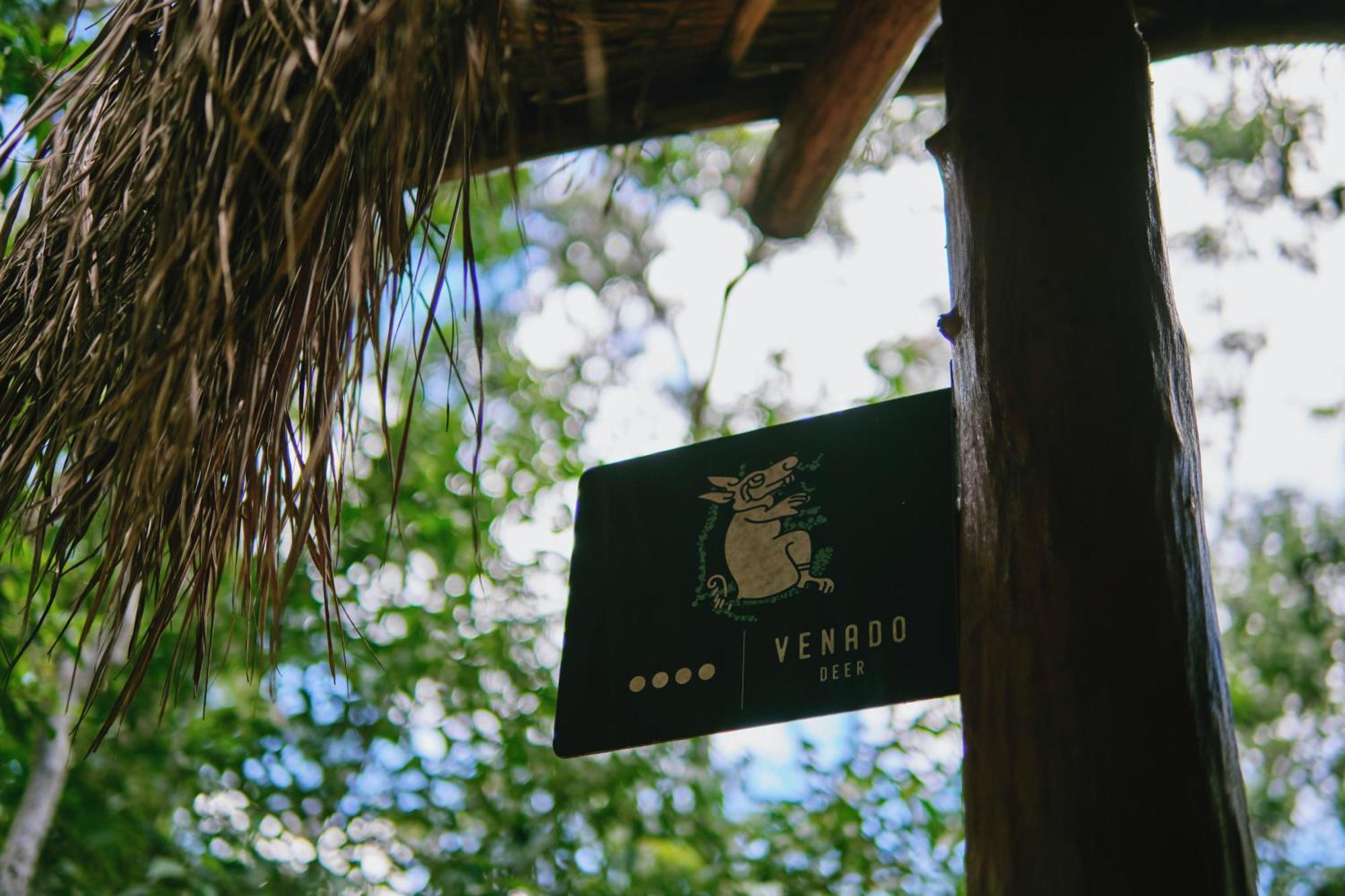 Villa Zamna - Jungle Cozumel
